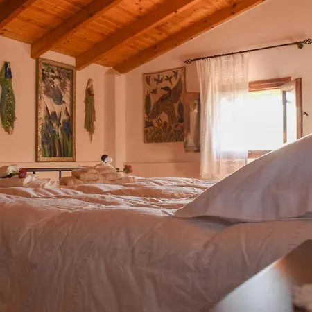 Amber Seaview By The Olive Groves Villa *